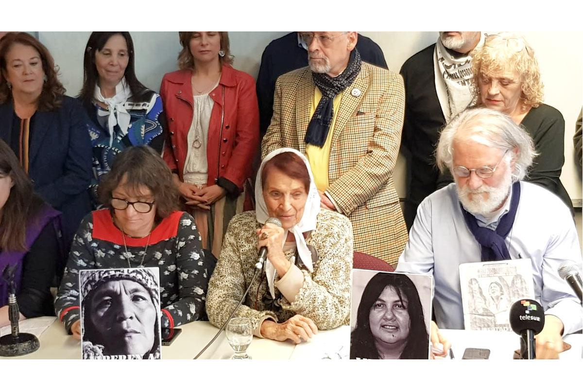 El mensaje de una leona a otra: «Fuerza, seguiremos insistiendo por tu libertad»