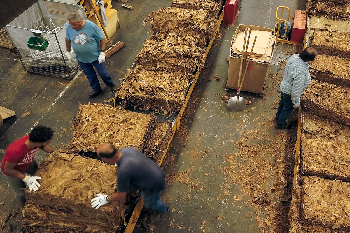Trabajadores tabacaleros piden volver a trabajar preocupados por la apertura de las importaciones