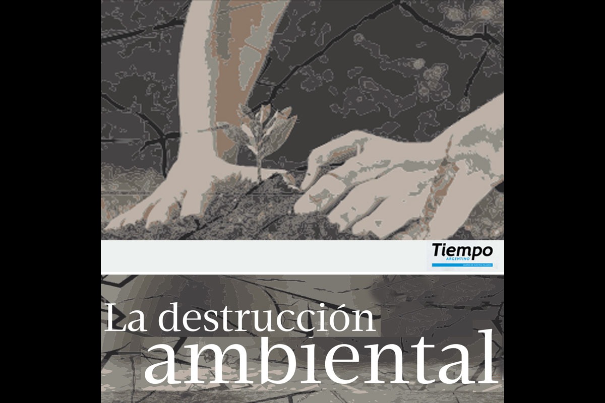 La destrucción ambiental