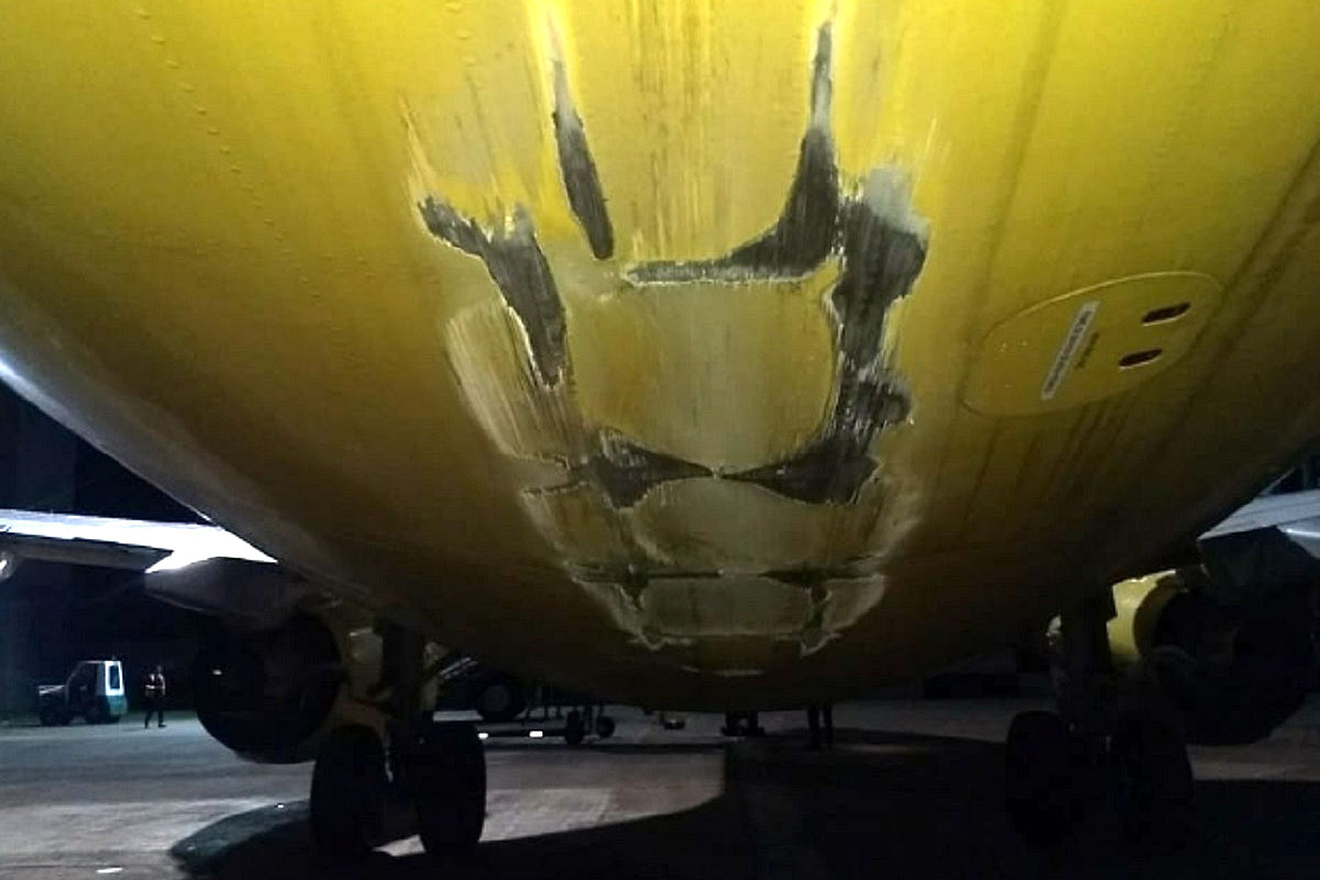 Pilotos acusaron al gobierno de encubrir el incidente de Flybondi en Iguazú