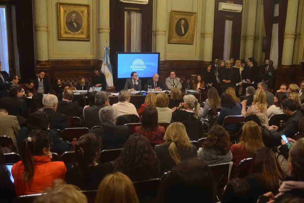 Aborto legal: el martes empiezan las exposiciones en el Senado