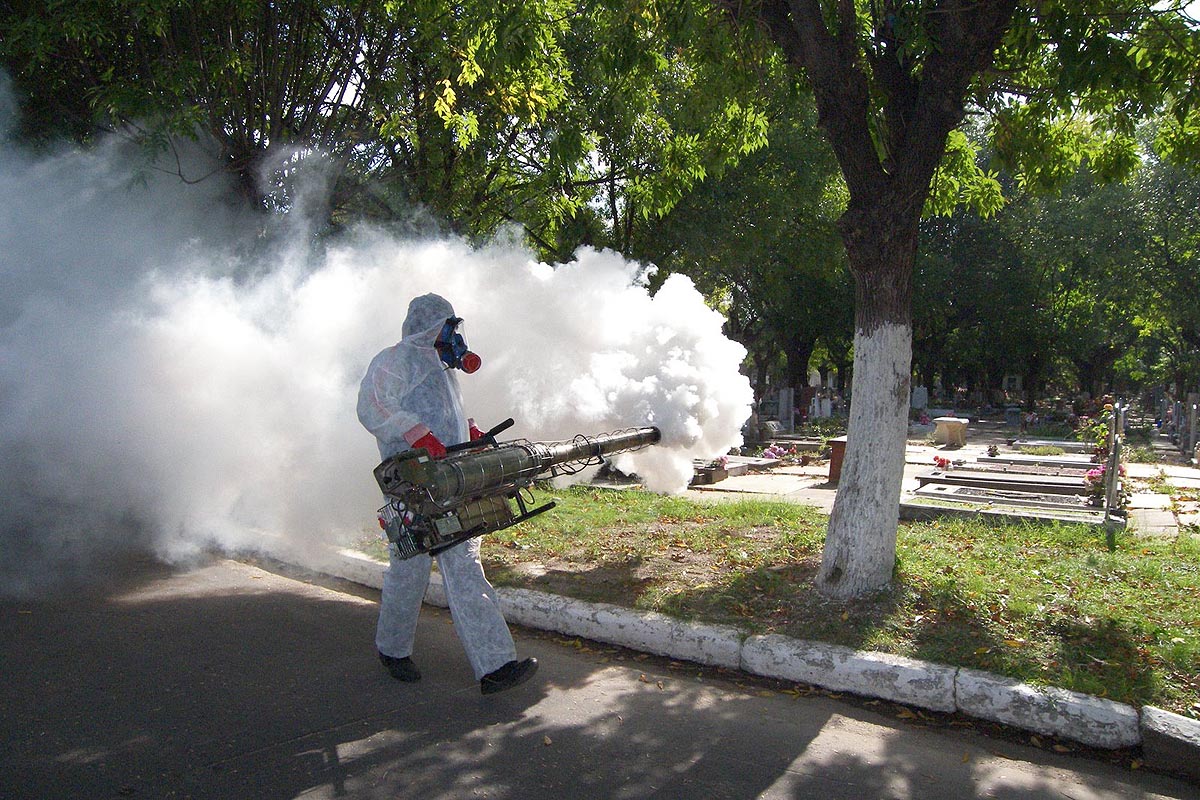 En plena pandemia, las provincias intensifican su lucha contra el dengue