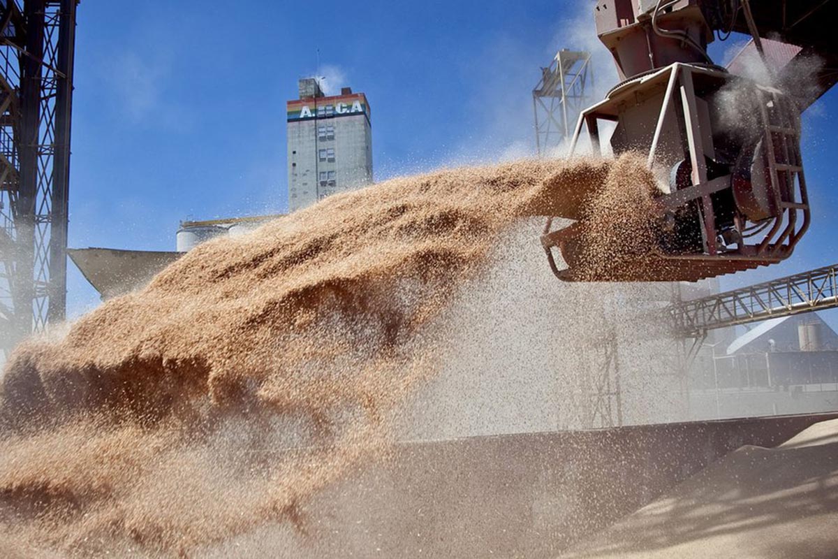 Con divisiones internas, el campo decretó un lockout de 72 horas por el cierre de exportaciones del maíz