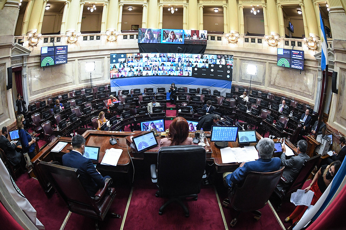 Después de un año y medio, el Senado vuelve a las sesiones presenciales