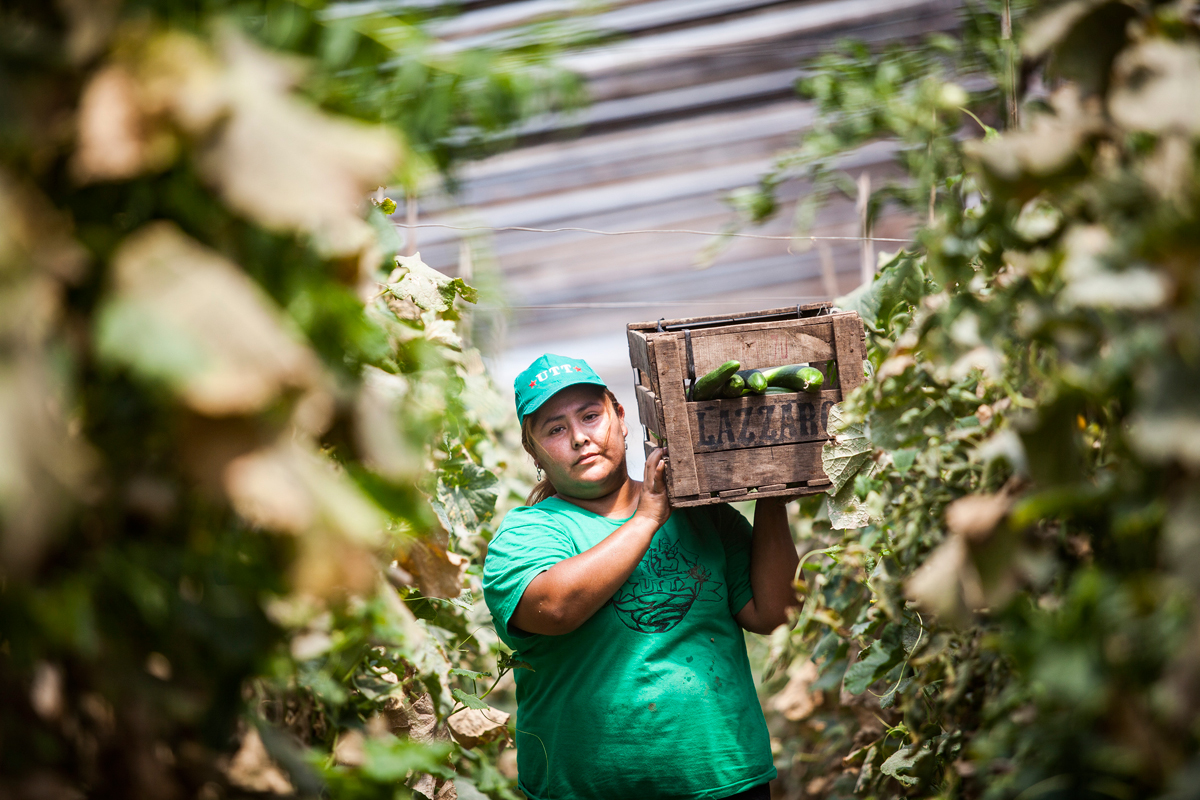 «No leímos de ecofeminismo, aprendimos luchando»