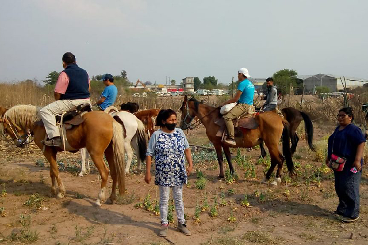 La presidenta de la comunidad reprimida en Jujuy: «La Justicia solo escuchó al terrateniente»