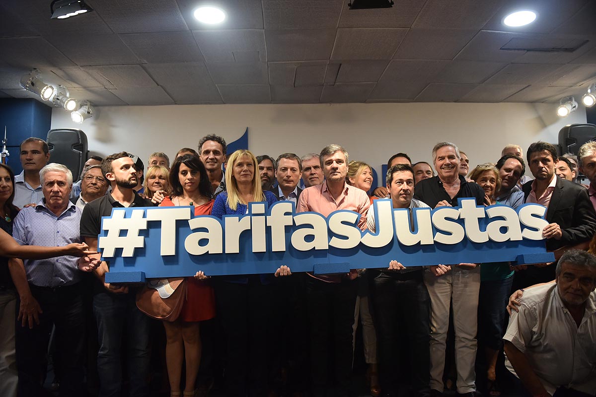 Intendentes, legisladores y asociaciones de usuarios presentan un amparo contra el tarifazo
