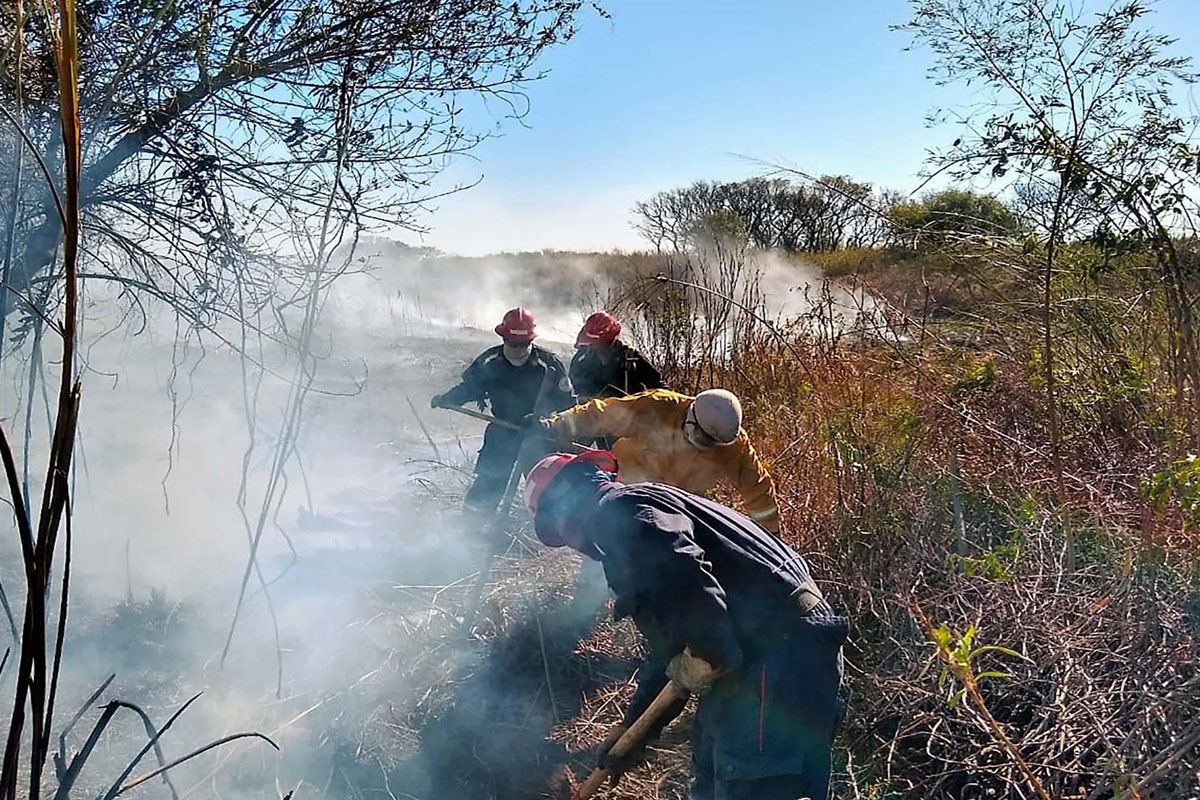 Controlan los incendios en las islas del delta en Entre Ríos