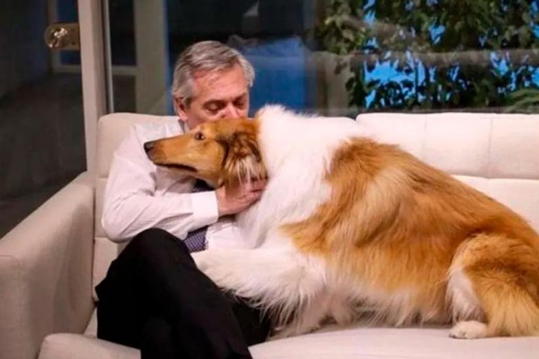Milei le ofreció a Alberto Fernández adoptar a su perro Dylan tras ser imputado