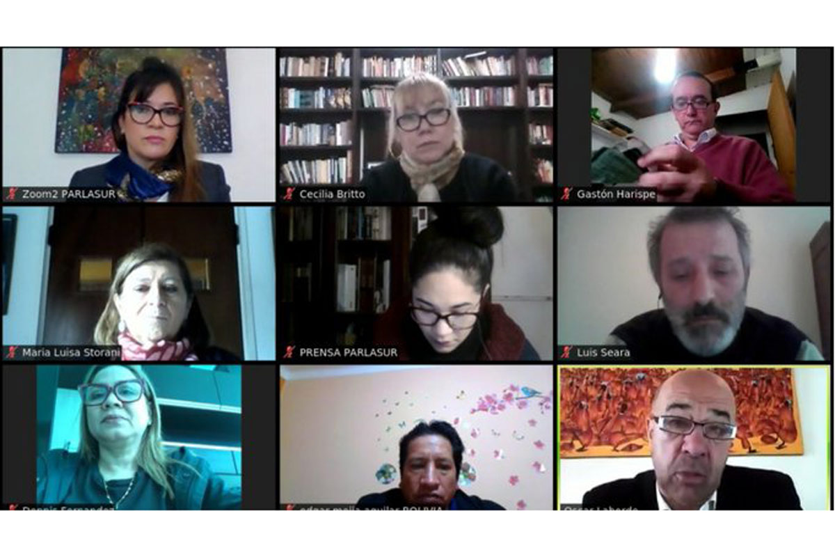 Argentina presidirá la comisión de DDHH del Parlasur: “Bolivia, género y lawfare serán prioridad”