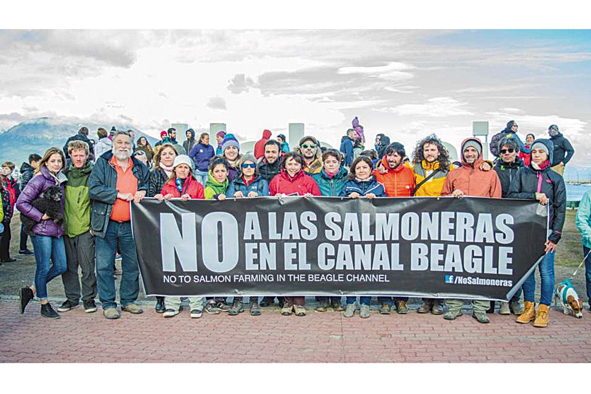 En defensa del Beagle, argentinos y chilenos resisten a las salmoneras