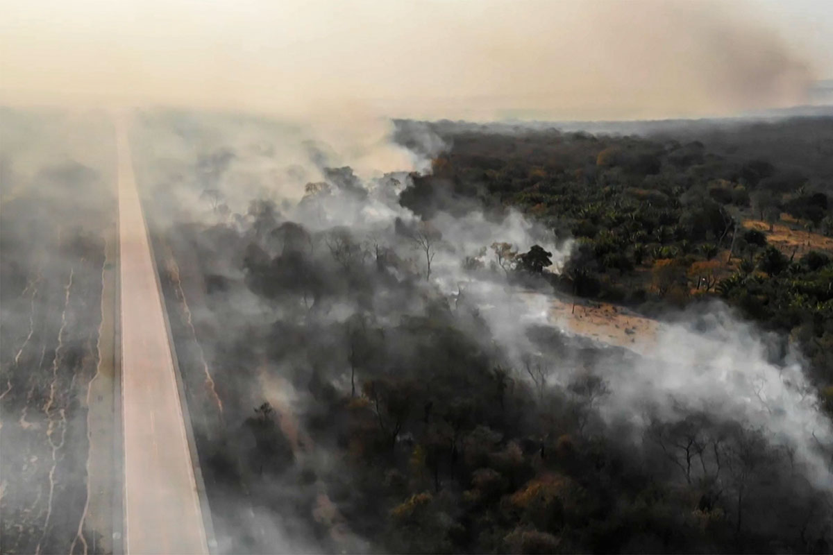 Amazonia y el cambio climático