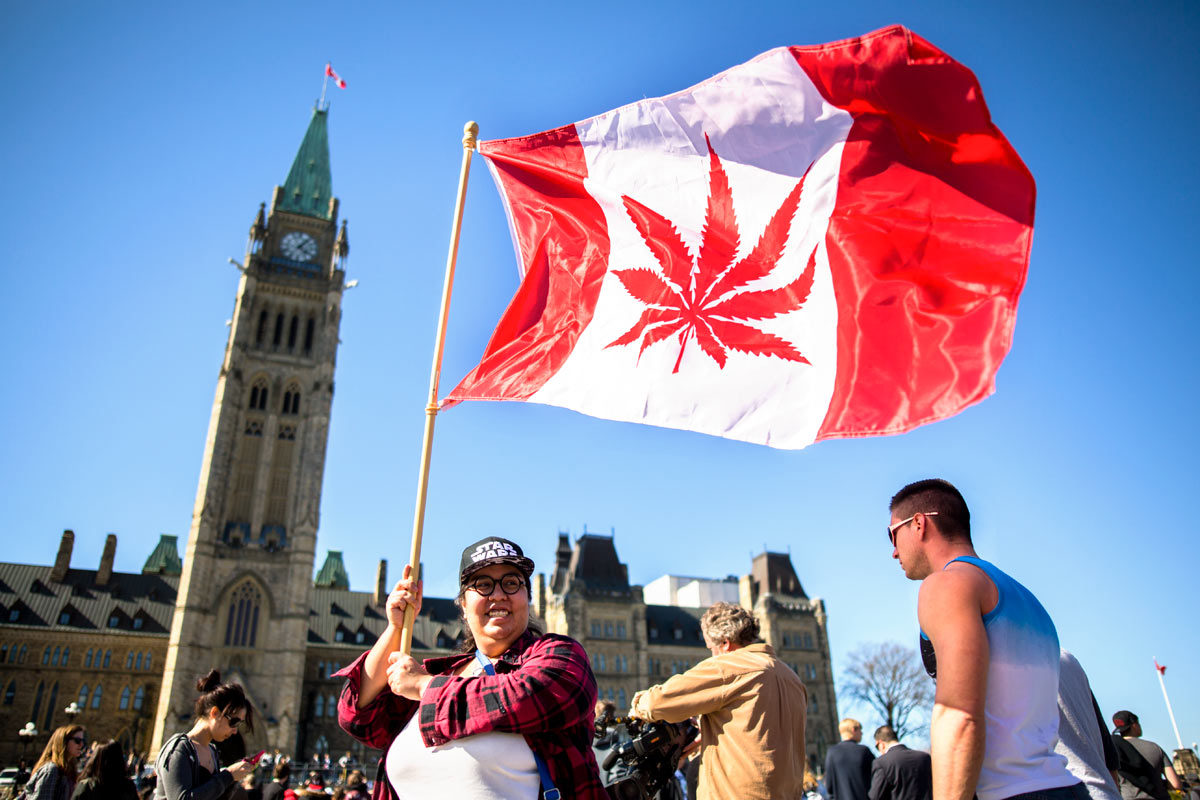 Canadá abre el juego a  la disputa por el negocio legal de la marihuana