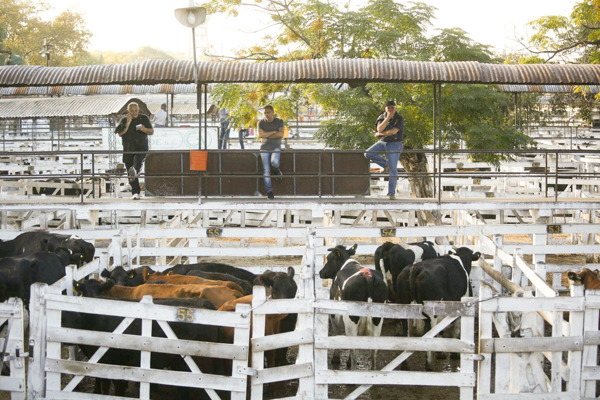 Sin unanimidad, arrancó el primer lockout agrario contra el gobierno