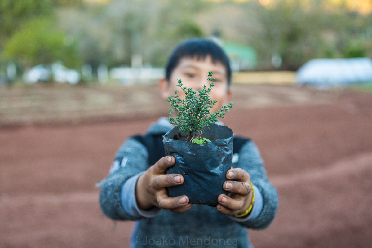 «Sintientes»: un documental que propone una nueva forma de convivencia con la naturaleza