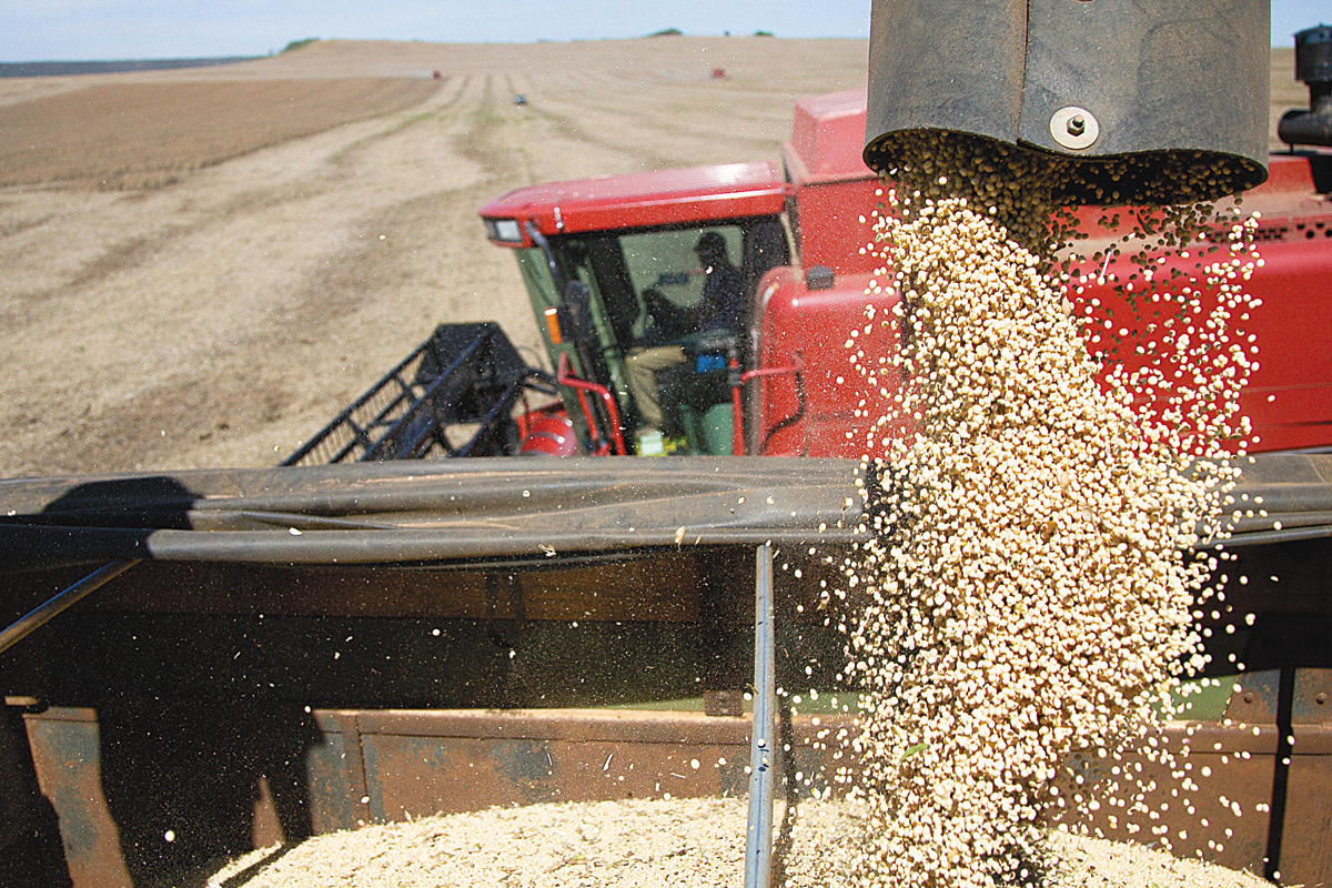 Reducen a cero las retenciones a exportaciones agroindustriales de las economías regionales