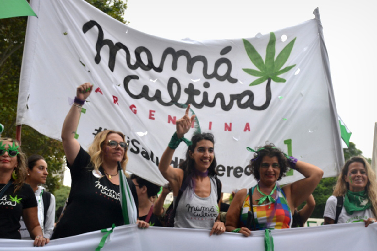 «Es una gran conquista, ahora lo que necesitamos es cannabis con justicia social»