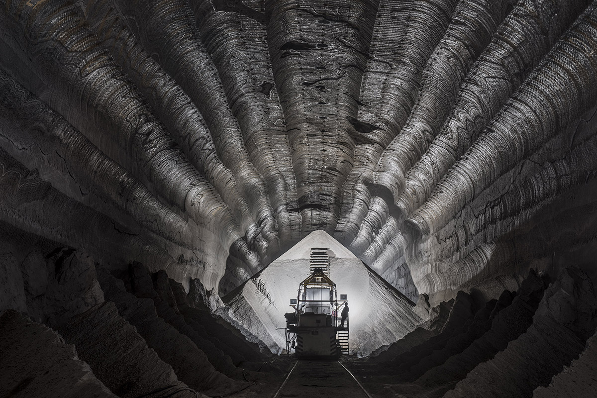 El Festival Internacional de Cine Ambiental sigue creciendo