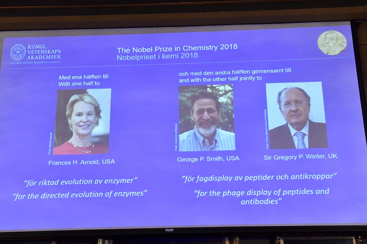 Nobel de Química para la evolución artificial de proteínas
