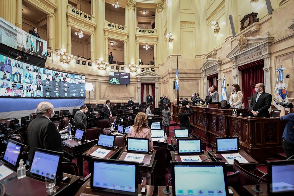 El Senado comienza a tratar en comisión del proyecto de legalización del aborto