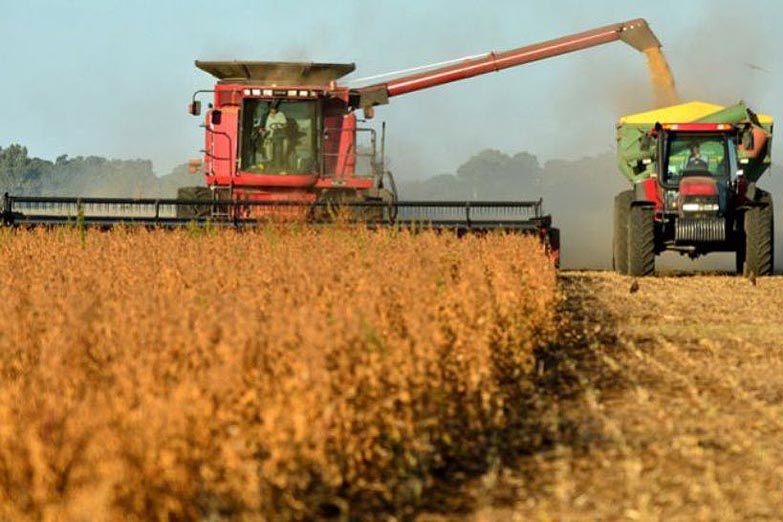 Para la mayoría de las consultoras, la recesión seguirá hasta fin de año