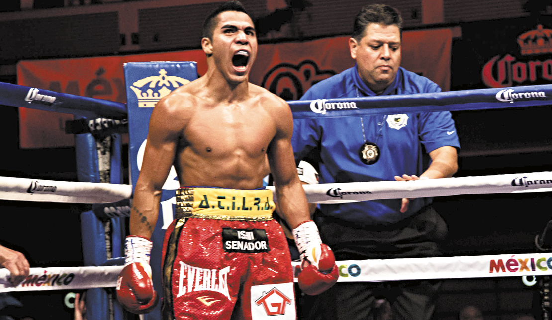 El domador de caballos busca el centro del ring