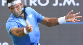 Del Potro: «Está siendo una semana espectacular, que me cuesta creer»