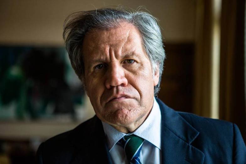 Fuerte rechazo a la «intromisión» de la OEA en Bolivia
