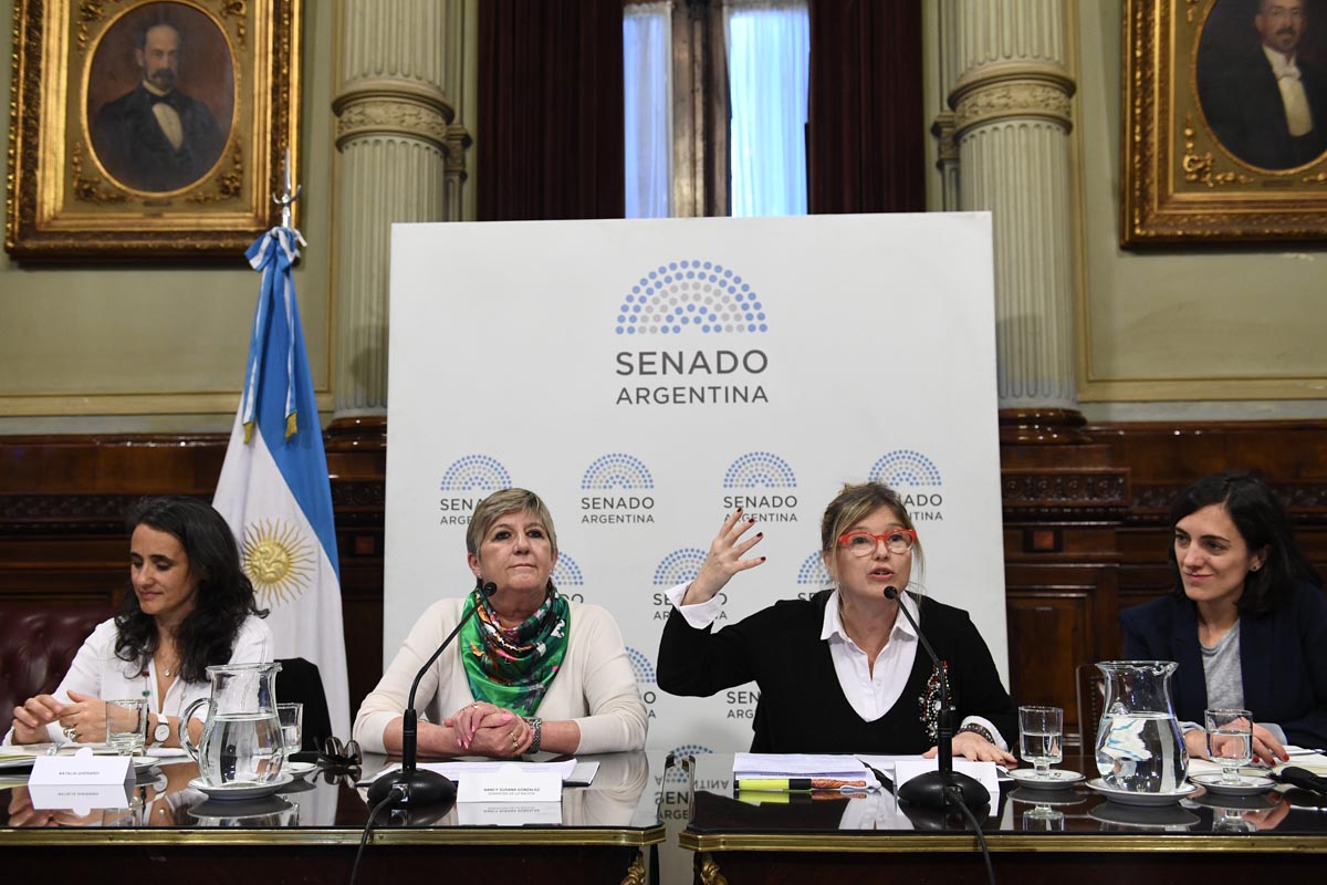 Ocho de cada diez mujeres políticas de Argentina sufrieron violencia de género