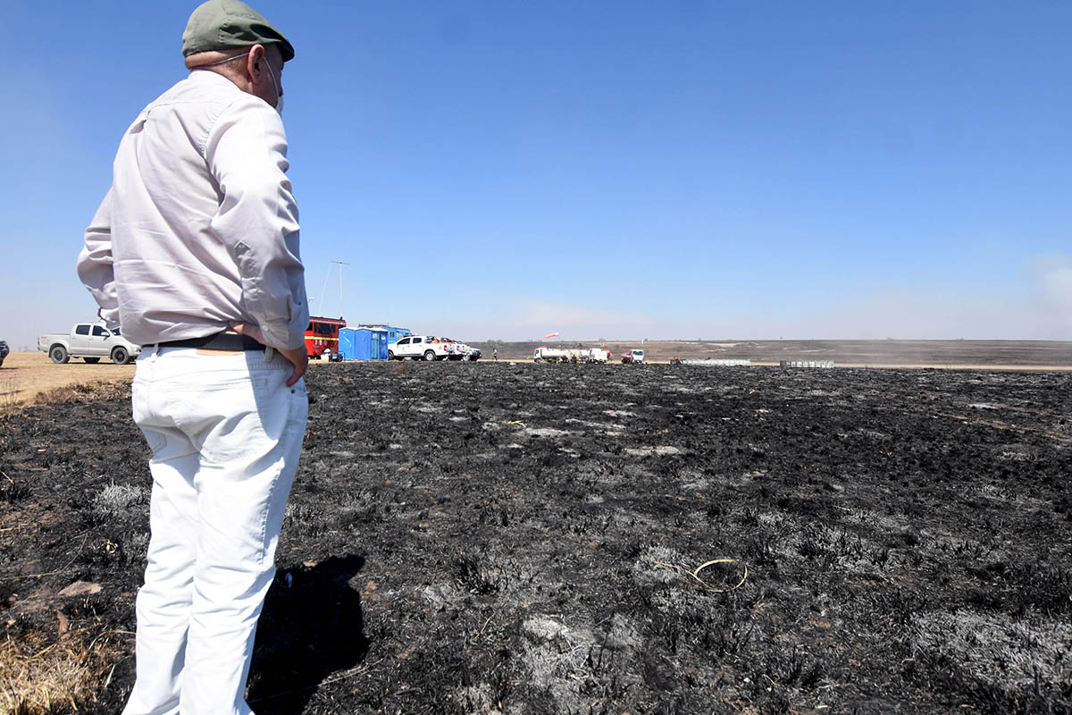 Ya está en movimiento el proyecto para prohibir el uso de tierras quemadas intencionalmente