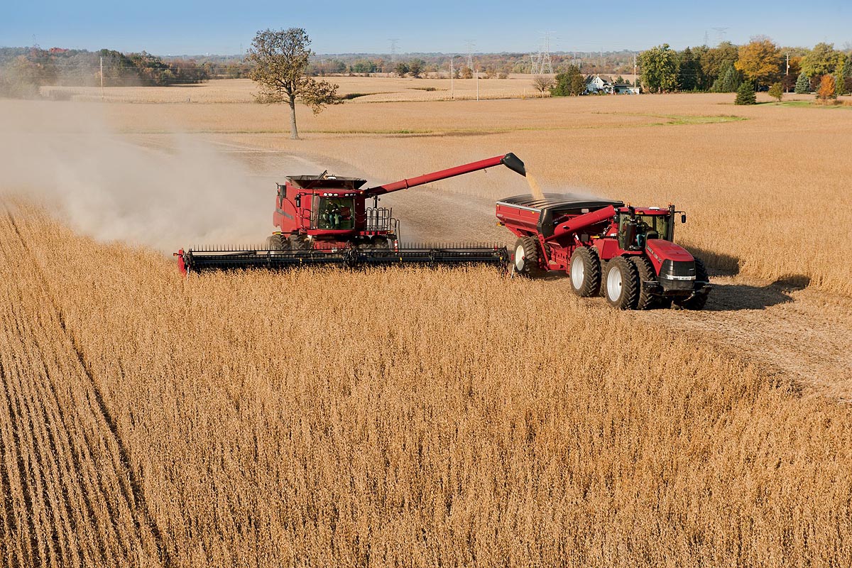 La actividad rural salvó a la economía en mayo