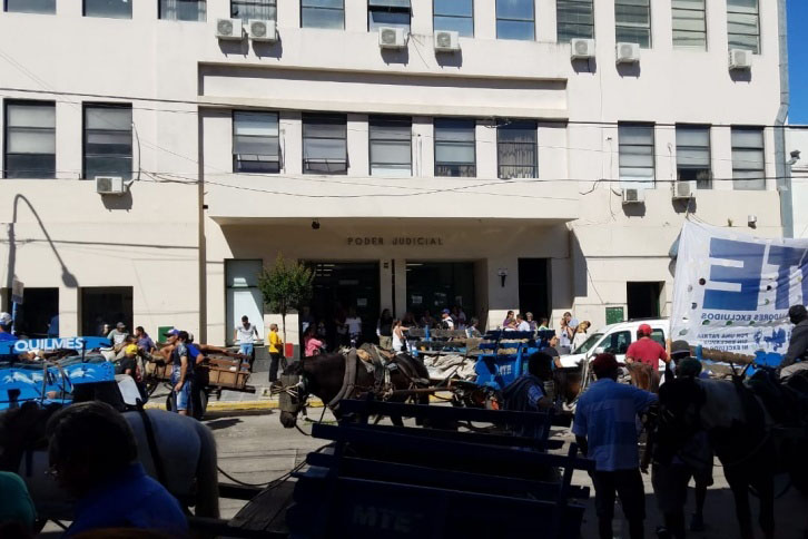 Exigen a la Justicia que devuelvan 27 caballos secuestrados