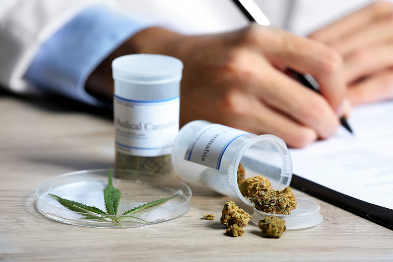 Salud y Conicet firman un convenio para impulsar diplomatura en cannabis y sus usos medicinales