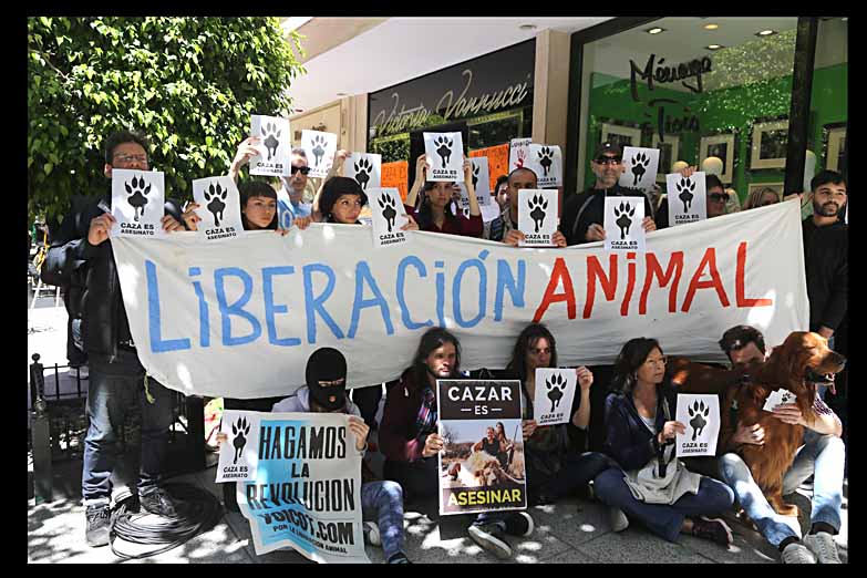 Escrachan el local de lencería de Victoria Vannucci