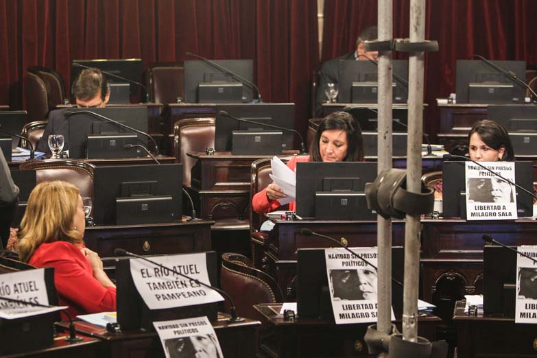 Sofoco de Michetti en el Senado por la represión