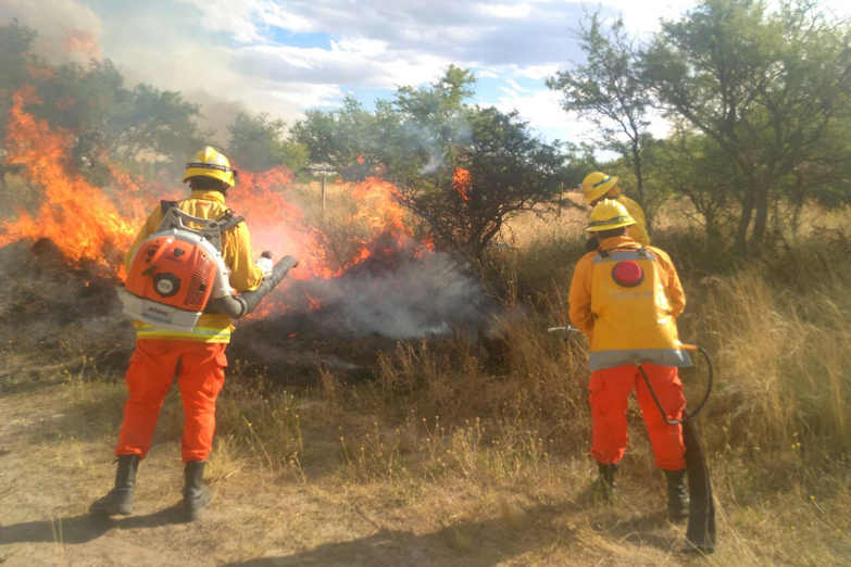 Federación Agraria: «Se necesitan aviones hidrantes, no funcionarios con sus fotógrafos»