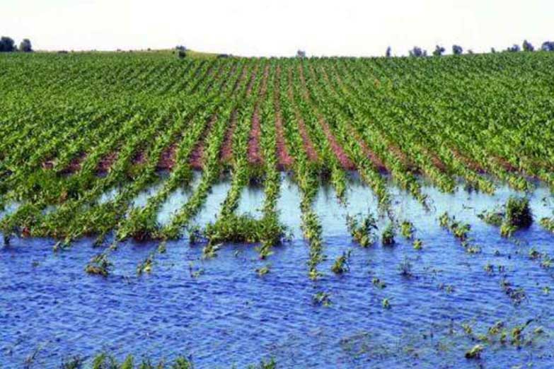 «Las inundaciones son el costo impuesto al pueblo por una minoría agroexportadora»