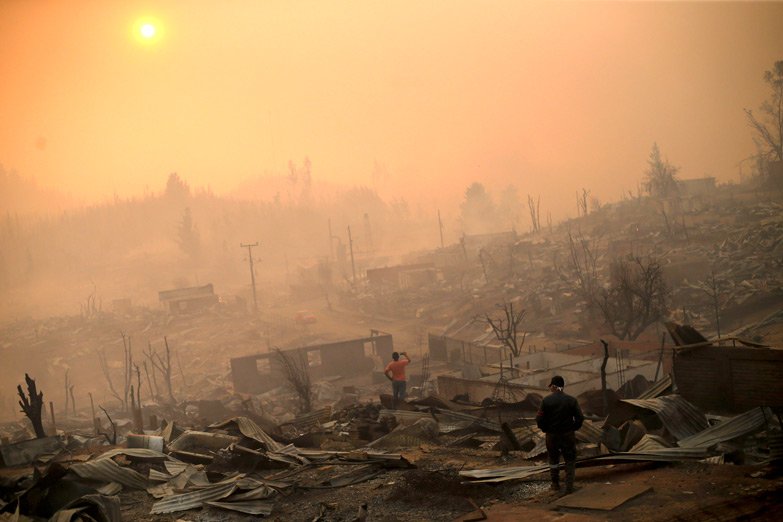 Chile: el modelo de explotación forestal se quema