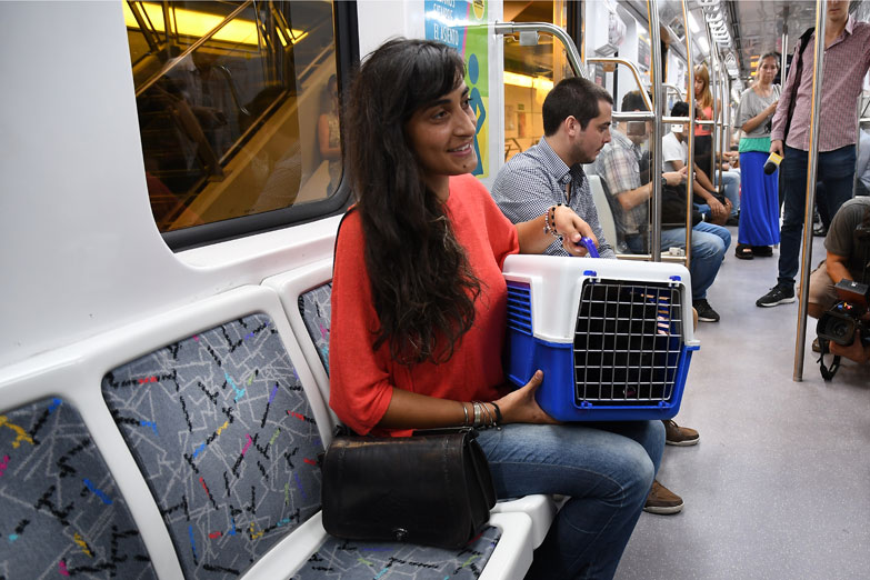 Perros y gatos ya viajan en subte