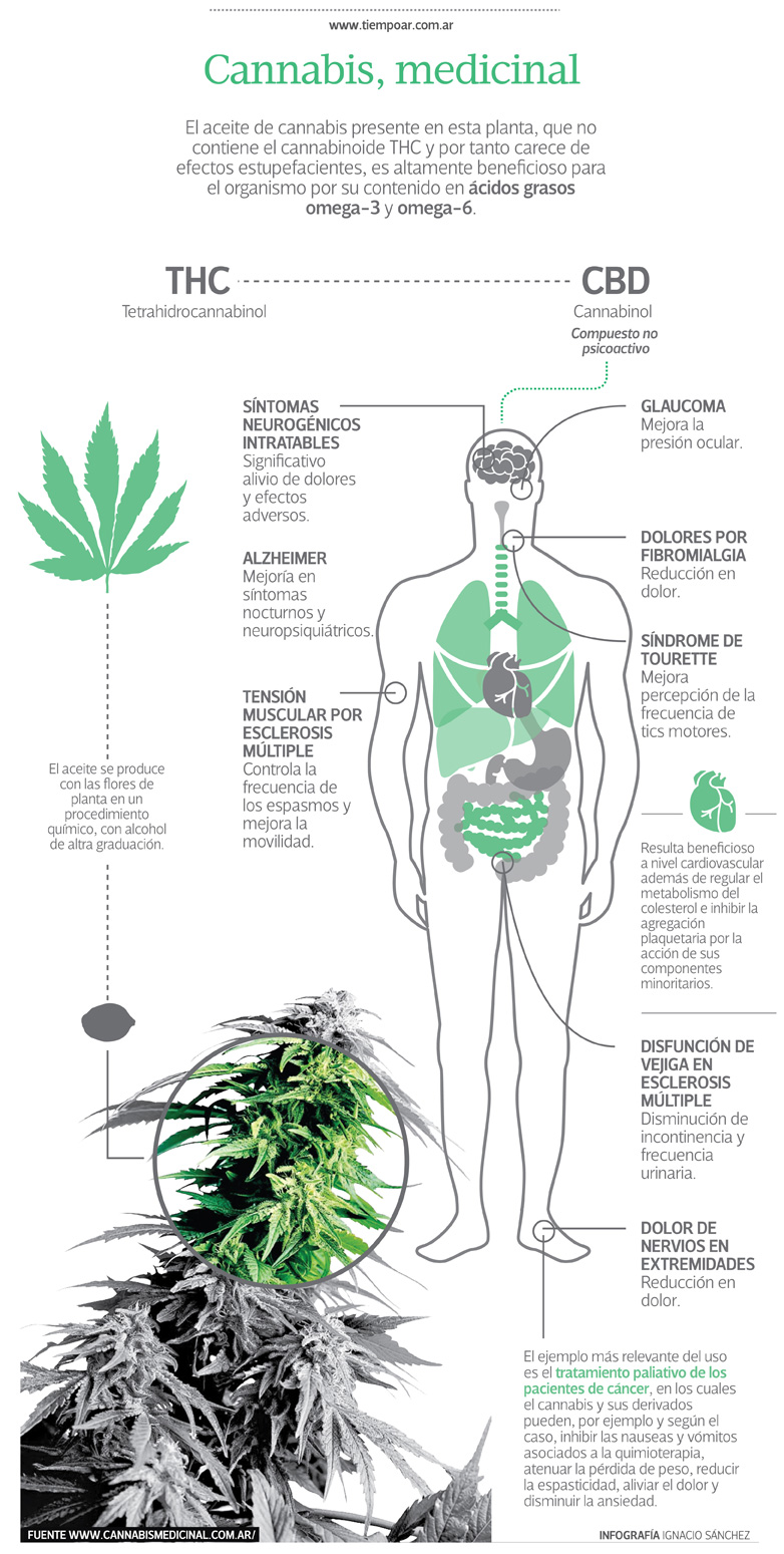 Uso y beneficios del cannabis medicinal