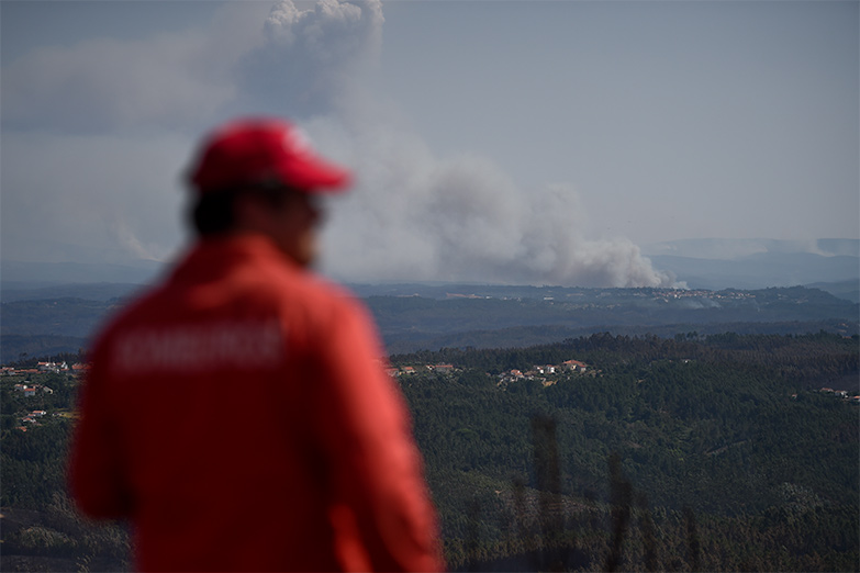 Culpan a las plantaciones de ecualiptos por el incendio en Portugal
