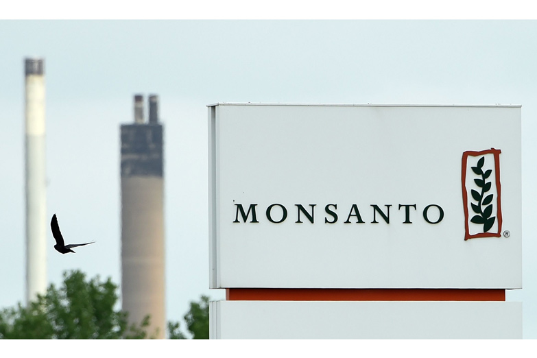 Monsanto pierde en los tribunales de EE UU pero aquí lidera las «buenas prácticas»