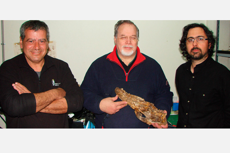 Extraen el ADN de un animal extinto de Sudamérica de 12 mil años