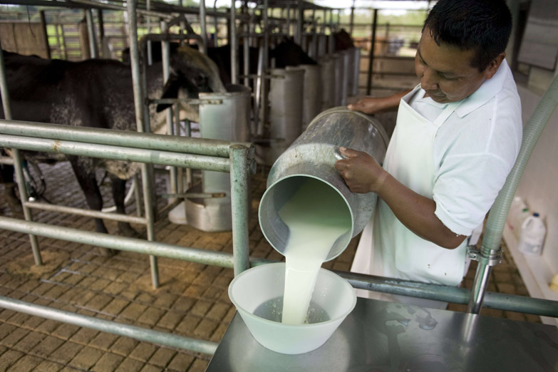 «Tenemos la leche más cara del mundo y el precio más bajo para el productor»