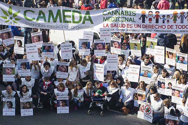 El gobierno nacional aún no reglamentó la ley de Cannabis Medicinal