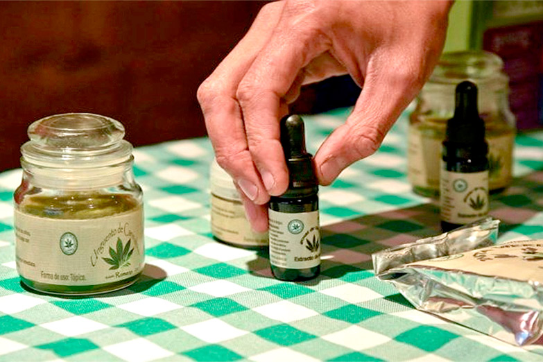 El Senado comienza a debatir la regulación del cannabis medicinal