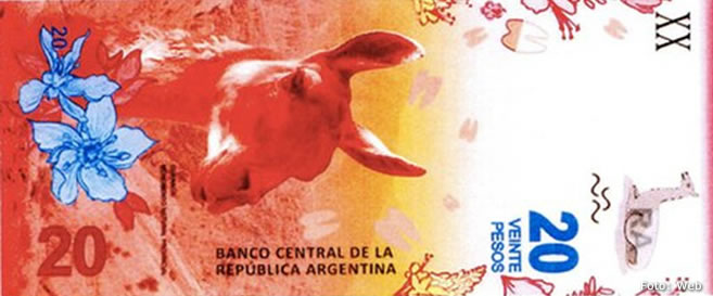 Un guanaco reemplazará a Rosas en los billetes de $20