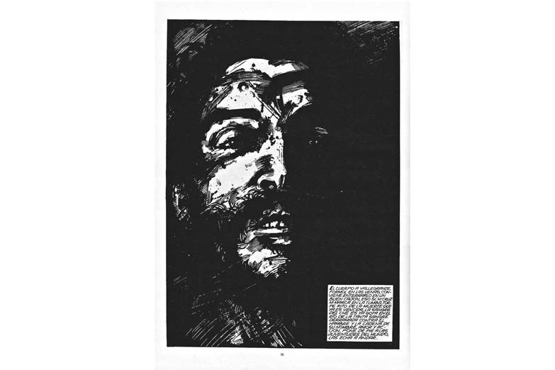 El Che y la revolución, en libros ilustrados