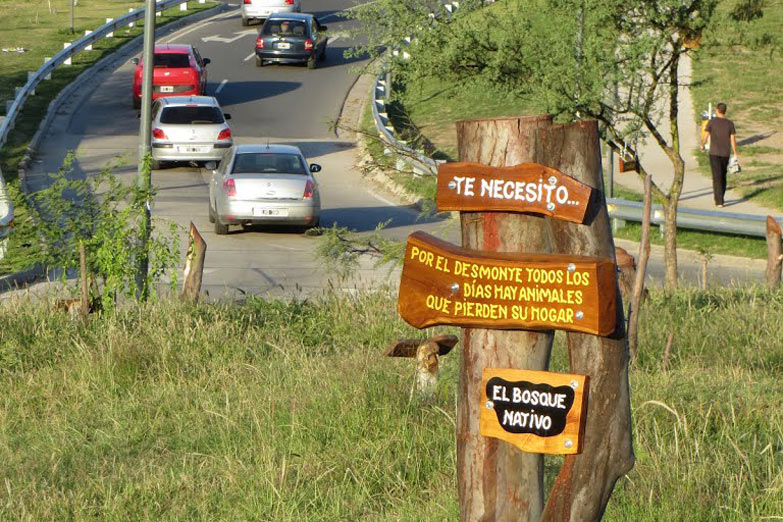 Preocupa a los ambientalistas el desfinanciamiento de la Ley de Bosques