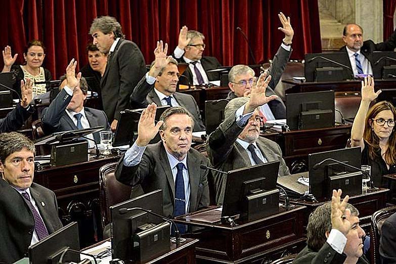 Peronismo en el Congreso: parcelado pero unido